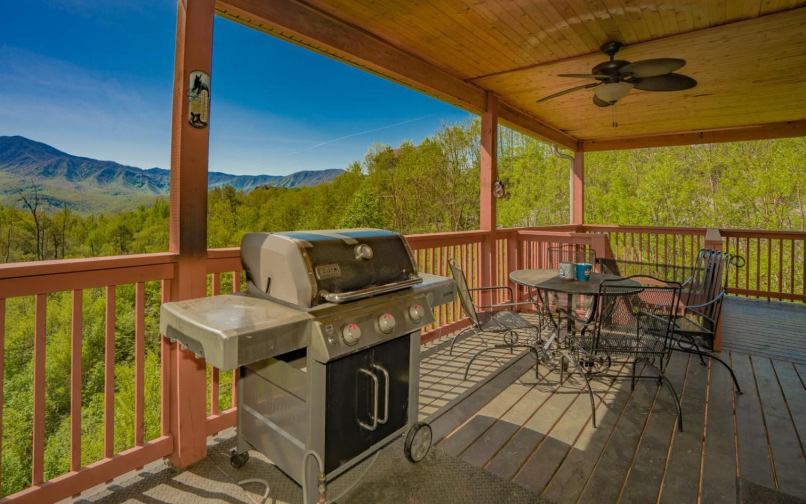 Beartastic Mountain View Lodge Gatlinburg Exterior foto